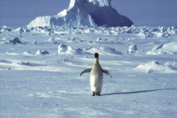 UN: Antarctic high temp records will take months to verify UN: Antarctic high temp records will take months to verify