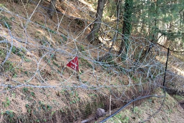 Woman Dies, 2 Injured After Ceasefire Violation By Pak Troops In J&K News Image